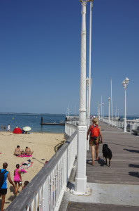 IMGP1177.JPG