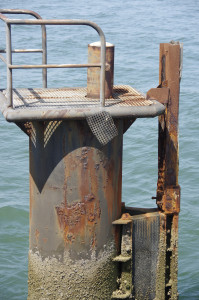 IMGP1181.jpg
