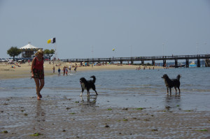 IMGP1190.JPG
