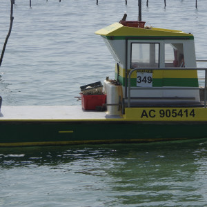 IMGP1197.jpg