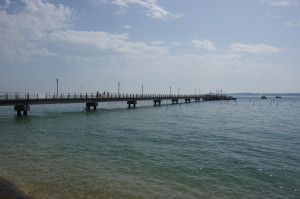 IMGP1198.JPG