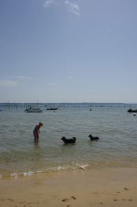 IMGP1205.JPG