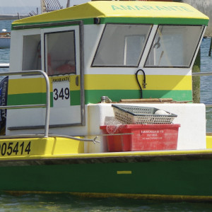 IMGP1216.jpg
