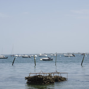 IMGP1219.JPG