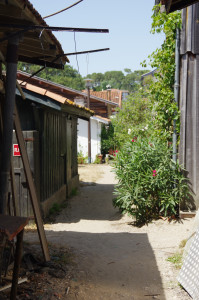 IMGP1234.JPG
