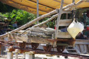 IMGP1283.JPG