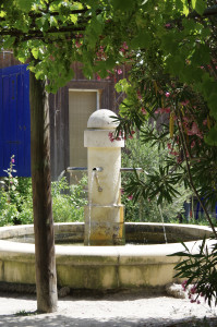 IMGP1293.jpg