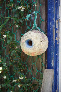 IMGP1294.JPG
