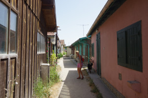 IMGP1296.JPG