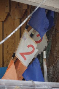 IMGP1297.JPG