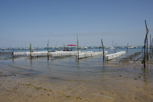 IMGP1302.JPG