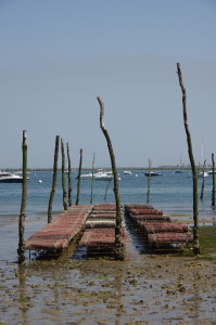 IMGP1303.JPG