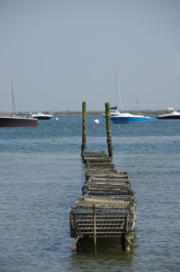 IMGP1304.JPG