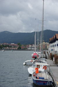 IMGP1380.JPG