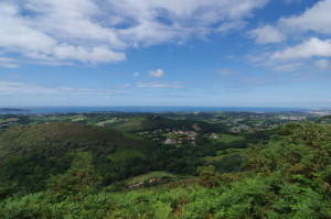 IMGP1398.JPG