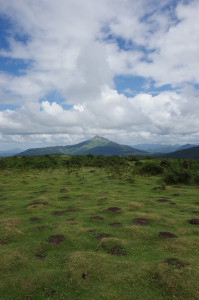 IMGP1423.JPG