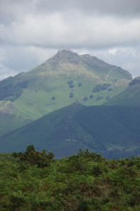 IMGP1424.JPG