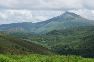 IMGP1434.JPG