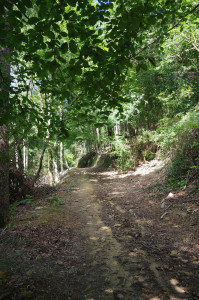 IMGP1454.JPG
