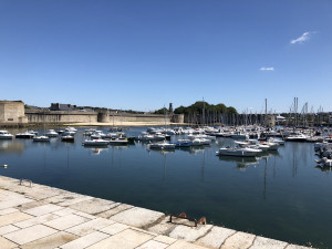IMG_0890.JPG
