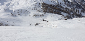 20190226_105735_Original.jpg