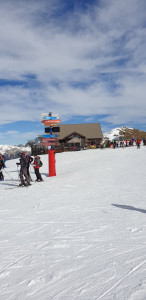 20190226_120717_Original.jpg