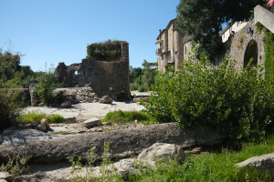 DSCF0359.JPG