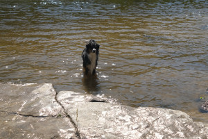 DSCF0360.JPG