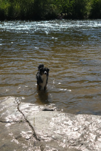 DSCF0361.JPG