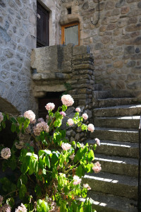 DSCF0372.JPG