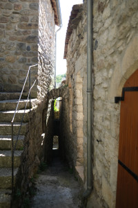 DSCF0373.JPG