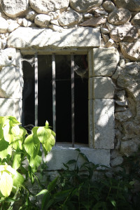DSCF0374.jpg