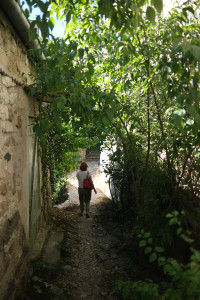 DSCF0375.JPG
