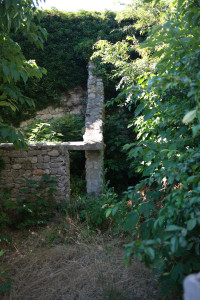 DSCF0376.JPG