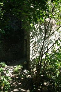 DSCF0377.JPG