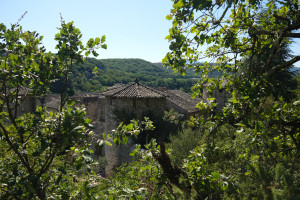 DSCF0378.JPG