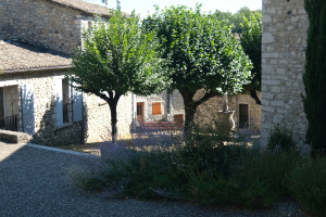 DSCF0380.JPG