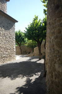 DSCF0381.JPG