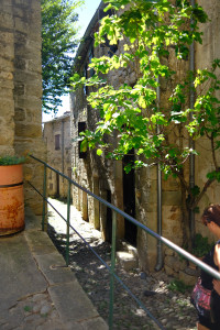 DSCF0405.JPG