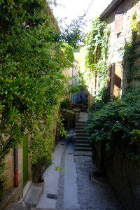 DSCF0409.JPG