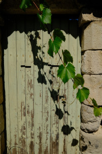 DSCF0413.JPG