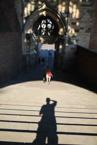 DSCF0429.JPG
