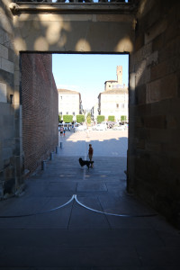 DSCF0431.JPG