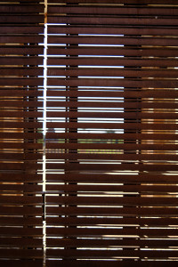 DSCF0434.jpg