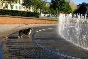 DSCF0476.JPG