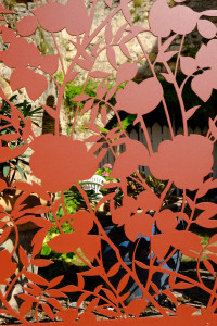 DSCF0532.JPG