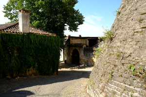 DSCF0533.JPG
