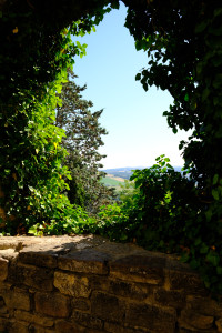 DSCF0534.JPG