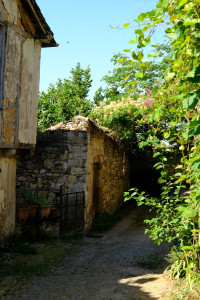 DSCF0539.JPG