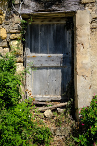 DSCF0562.JPG
